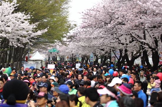 서울, 봄꽃과 문화의 향기에 빠지다