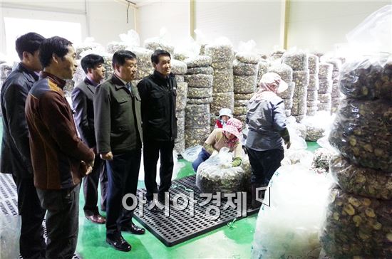 진도군에서 생산된 표고버섯이 진도군 관내에서 첫 경매를 실시했다.  

