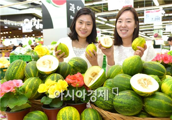 농협유통, 올해 첫 파파야메론 선봬