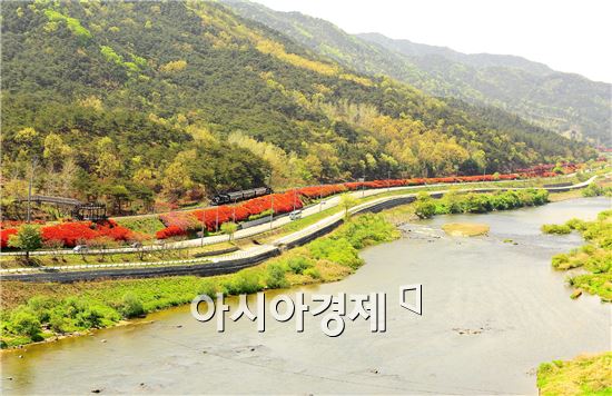 길이 있기에 걷는 ‘곡성 여행’, 봄도 함께 걷는다