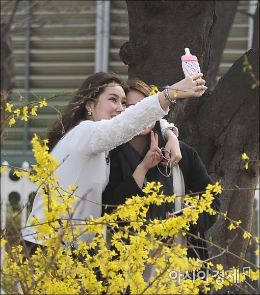 [포토]사진찍는 상춘객들