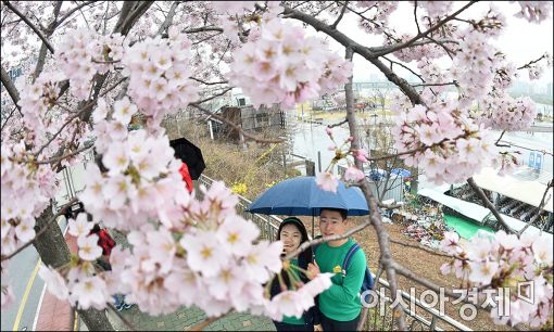 [포토]"봄꽃 데이트 즐겨요"