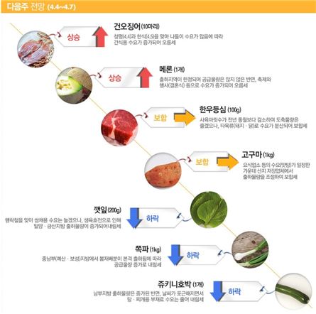 [조호윤의 알뜰장보기]이번 주 건오징어·메론값 '↑' 쪽파·호박값 '↓'