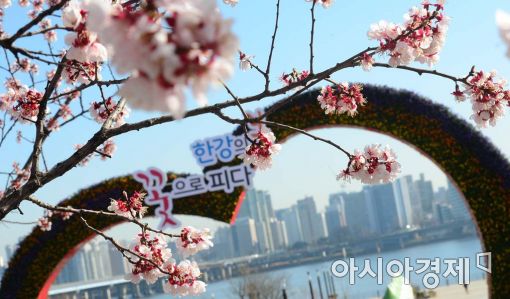 [포토]서울에 찾아온 벚꽃 