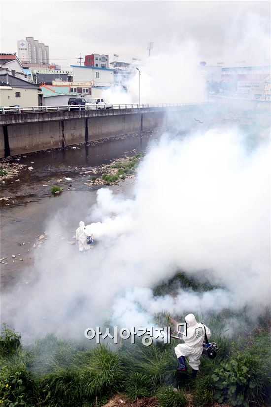 [포토]광주시 북구, 일본뇌염 긴급방역