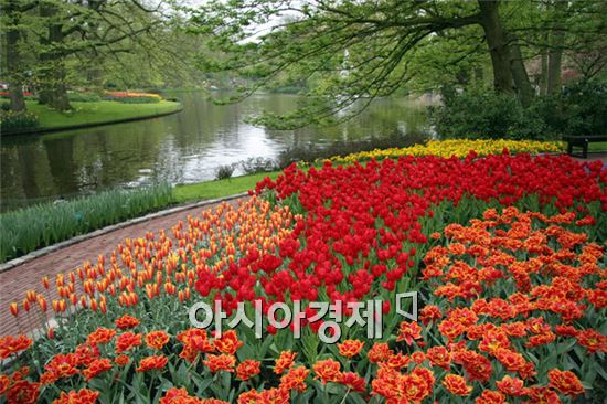 더민주 노관규 후보, "순천의 미래 독일 프라이브르크에 있다"