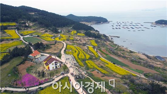 봄바람 따라 슬로시티 완도 청산도로 오세요