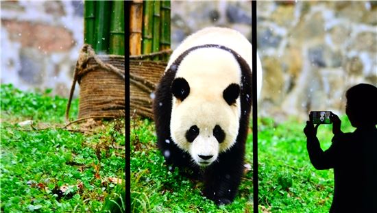 [여행만리]터치 터치…아빠, 쿵푸판다가 살아났어