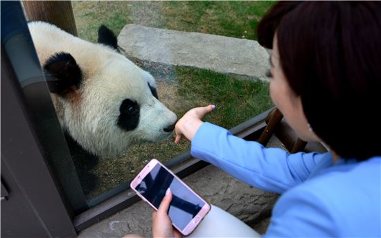 [여행만리]터치 터치…아빠, 쿵푸판다가 살아났어