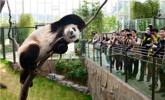 [포토]저 어때요~