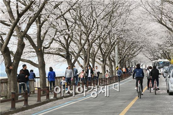 구례군(군수 서기동)에서 지난 2일부터 이틀간 열린 제12회 구례 섬진강 벚꽃축제가 많은 관광객이 찾은 가운데 성황리에 종료됐다.
