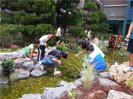 서울시 마포구 성산2동 성원초등학교 학생들이 학교에 조성된 생태공간에서 수생식물을 관찰하고 있다.