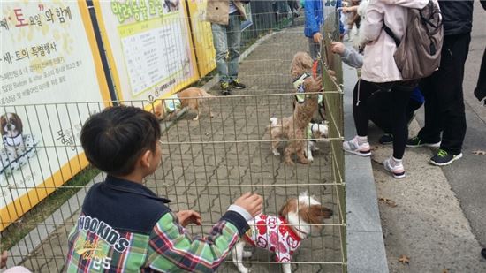 "매월 둘째·넷째 토요일 버려진 동물 입양하세요"