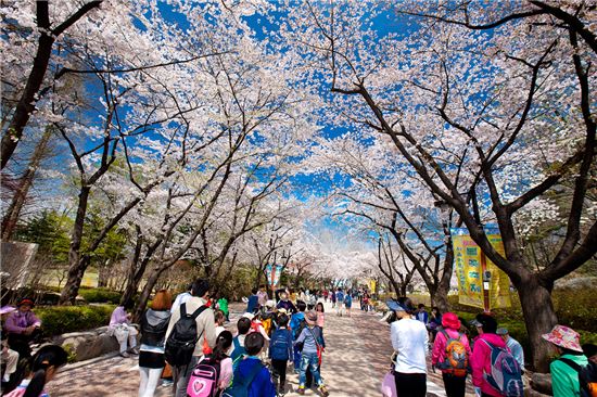 서울어린이대공원, 24일까지 봄꽃 축제 개최