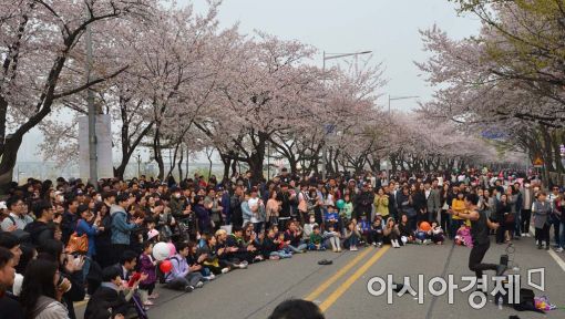 [포토]벚꽃과 함께하는 주말 오후 
