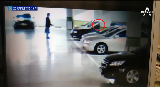 조국 스토커 CCTV / 사진=채널A 캡처