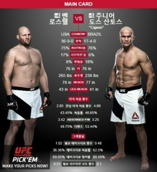 UFC 도스 산토스, 벤 로스웰 상대로 3-0 판정승 