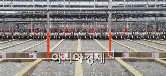 양식산업의 중심지인 완도군(군수 신우철)이 대외 경쟁력을 확보를 위해 수산양식시설 현대화사업 추진에 박차를 가하고 있다.

