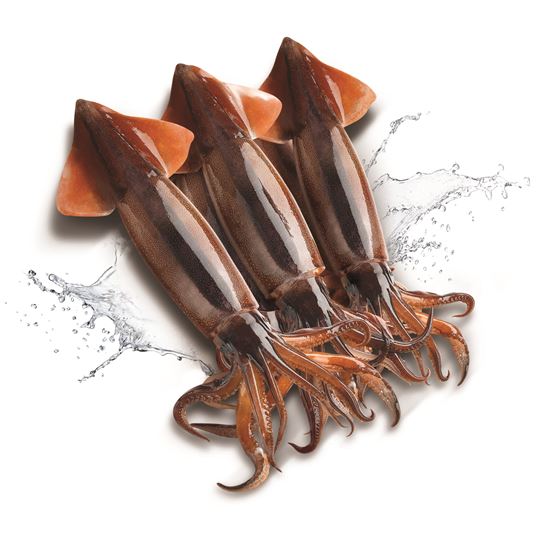 갈치값, 금(金)값 됐네…작년보다 40%↑