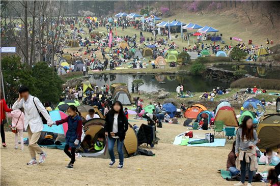 '골프장서 꽃놀이'…리베라CC '벚꽃 축제'에 3만여명 찾아