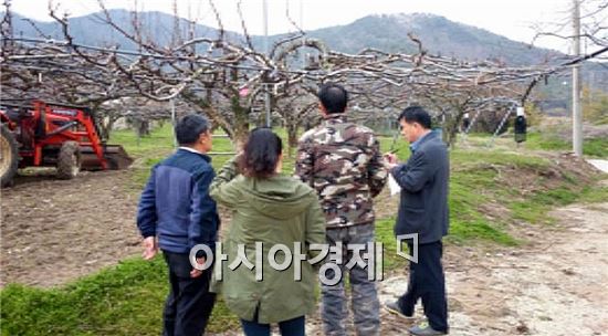 장흥군, 과수 화상병 예방을 위해 현지 예찰