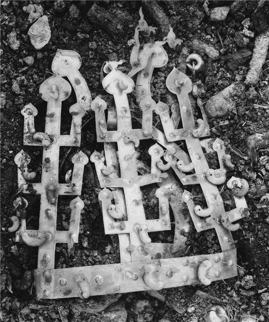 봉황장식 금관 출토 경주 서봉총 90년만에 재발굴