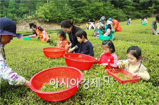 “신이 내린 최고의 선물 '보성녹차' 드시로 오세요"