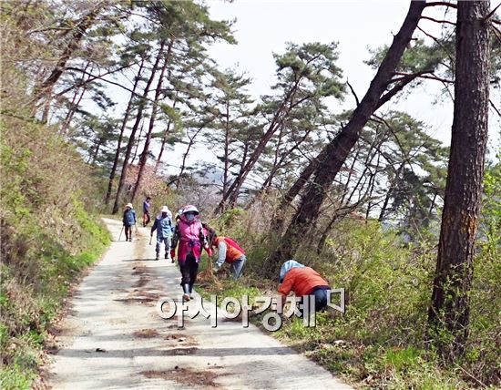 장흥군 유치면(면장 김한석)은 장흥댐 둘레길 주변에 개복숭아 나무 1,800그루를 심었다.