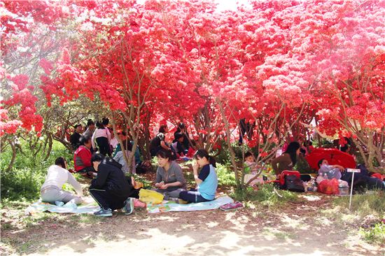 화사한 꽃동산은 전주의 봄 얼굴이다.