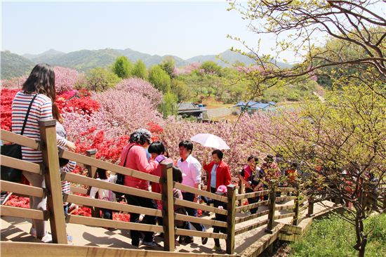꽃동산을 가꾼 한 할아버지의 이야기가 꽃처럼 아름다운 완산공원 꽃동산.