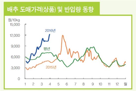 한국농촌경제연구원, 배추 도매가격 및 반입량 동향