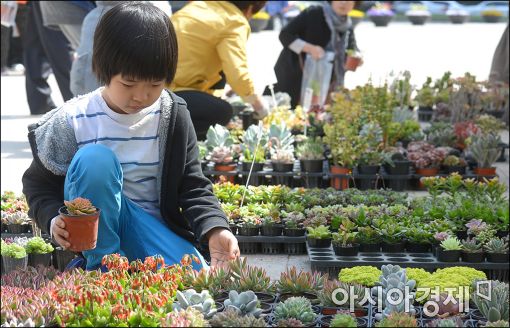 [포토]서울광장에 꽃·나무 사러 오세요