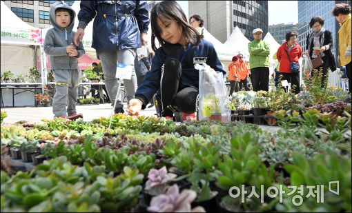 [포토]서울광장에 꽃·나무 사러 오세요