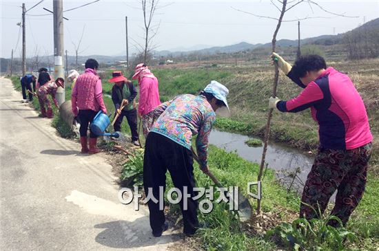 풍산면 소촌마을에 살고있는 김동예(75), 김성영(46) 모자가 최근 아름다운 마을가꾸기를 위해 써달라며 이팝나무를 기증해 화제가 되고 있다.