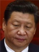 中 시진핑, 고위 관료 권력형 비리 차단 총력