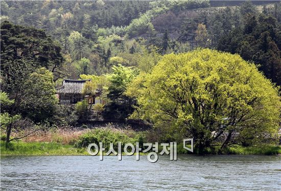 [포토]탐진강을 바라보는 여유로운 시선 부춘정(富春亭)