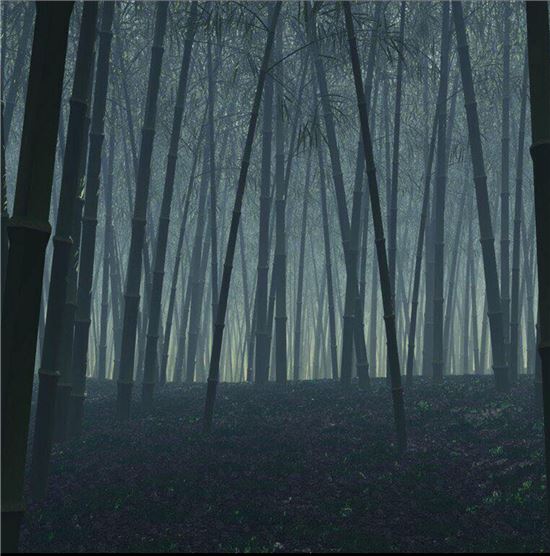 사진=중앙대학교 어둠의 대나무숲