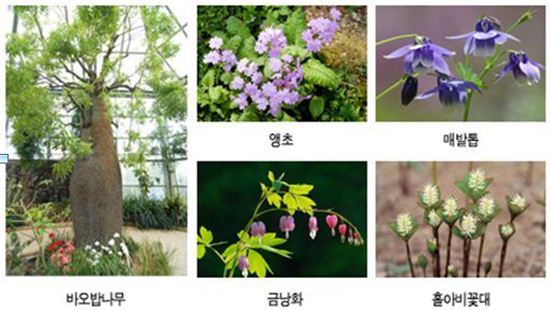 한택식물원 봄꽃페스티벌 23일 '팡파르'