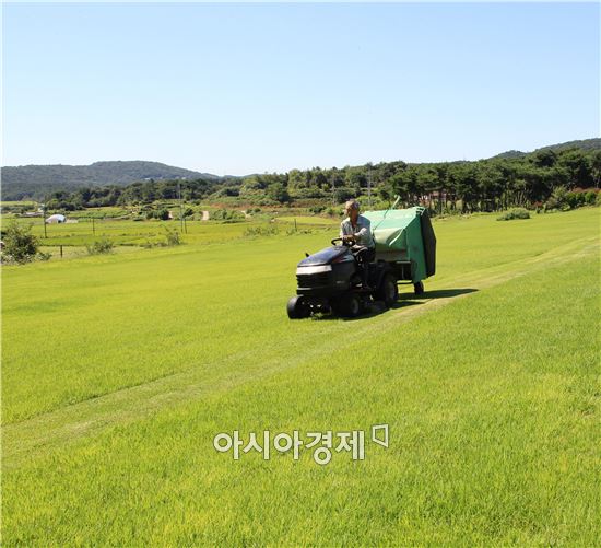 전국 최대 잔디생산지인 전남 장성군은 품질 좋은 잔디생산으로 유명하다. 사진=장성군