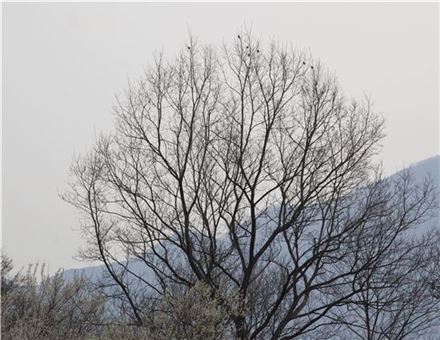 [조문환의 평사리日記]절대음감