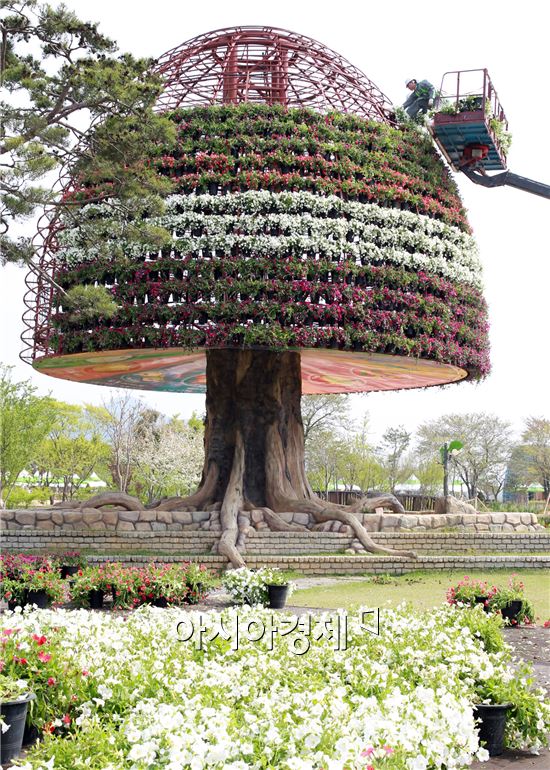 29일 개막하는 제18회 함평나비대축제를 앞둔 22일 함평엑스포공원에 대형 꽃탑 설치가 한창이다.
