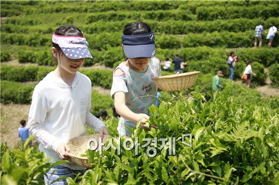 향기로운 햇차의 계절을 맞아 대한민국 최대의 차 주산지인 보성군에서 내달 4일부터 8일까지 5일간 제42회 보성다향대축제를 성대하게 개최한다.
