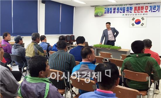 해남군, 친환경 온탕소독 및 파종량 줄이기 중점지도