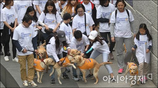 [포토]나들이가 즐거운 안내견들