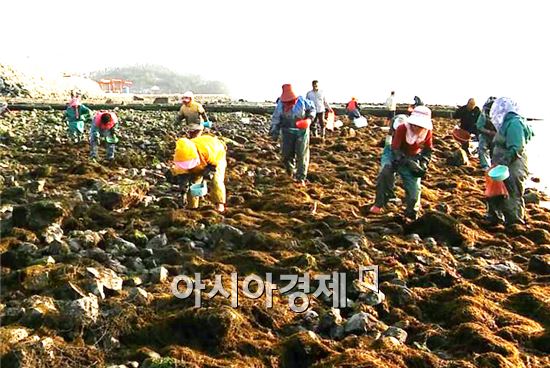 완도군, 다양한 품종으로 연안자원 조성 앞장… 어업인 큰 호응 