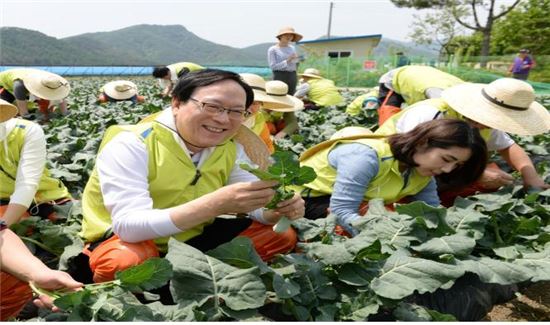 김용환 NH농협금융 회장(사진 왼쪽)이 강원도 홍천 동면 왕대추마을에서 봉사활동을 하고 있다.(출처:NH농협금융)