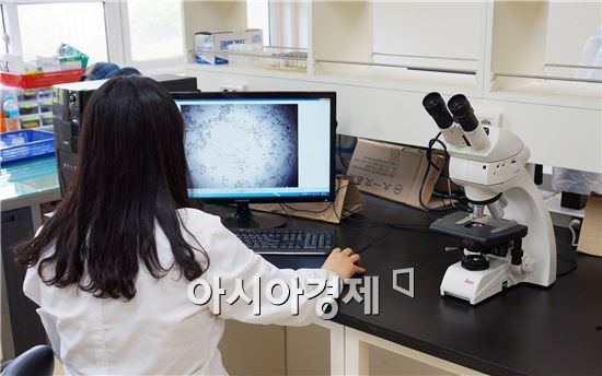 보성군, 참다래 개화기 인공수분 중점기술지원