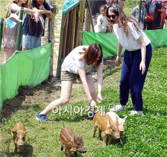 주말인 30일 함평나비대축제가 열리고 있는 함평엑스포공원을 찾은 외국인들이 가축몰이 체험을 하면서 즐거워하고 있다. '나비따라 꽃길따라'라는 주제로 오는 5월 8일까지 함평엑스포공원에서 열린다.