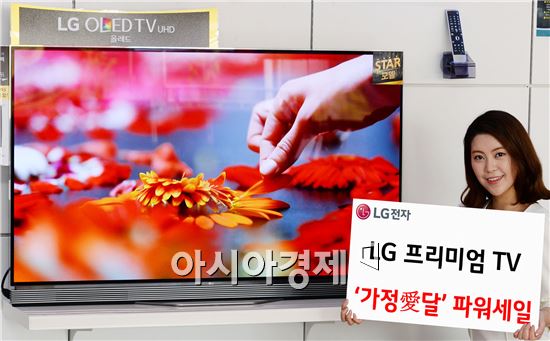 ▲모델이 LG 베스트샵에서 '가정愛달 파워세일'을 소개하고 있다.(제공=LG전자)
