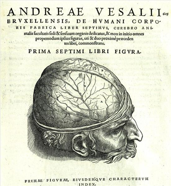 사진 = 안드레아스 베살리우스, '인체의 구조에 관하여' De humani corporis fabrica(1543)